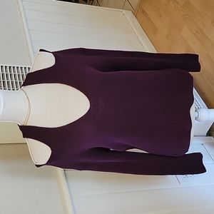 Express Cold Shoulder Sweater